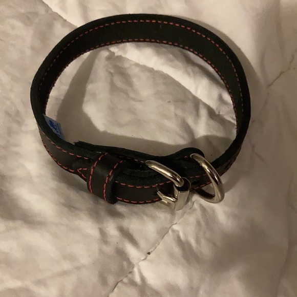 Dog collar - Picture 3 of 3